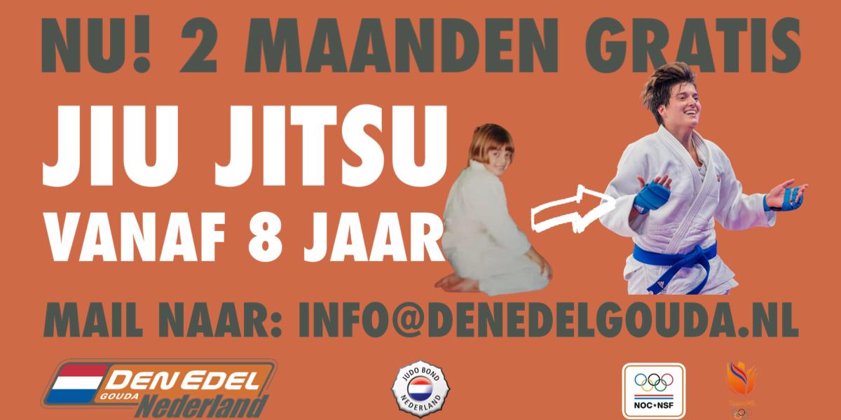 Jiu Jitsu Fighting